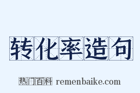 转化率造句是什么意思的图片